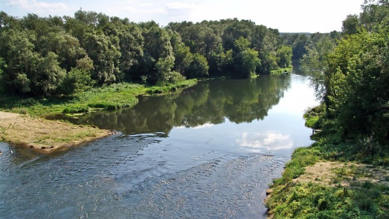 Река Зуша Орловская область Новосиль