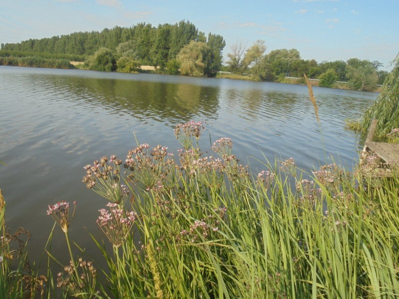 Река Понура в Краснодарском крае