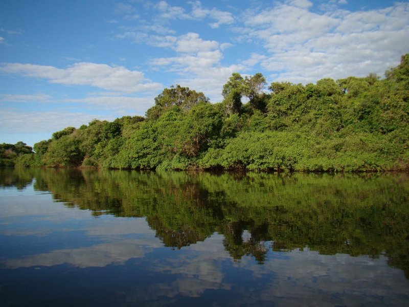 Арагуая (река)