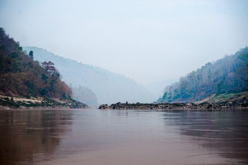 Брахмапутра река животный мир