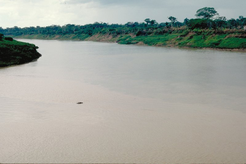 Пурус река