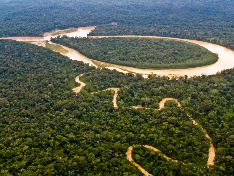 Амазонская река Южной Америки