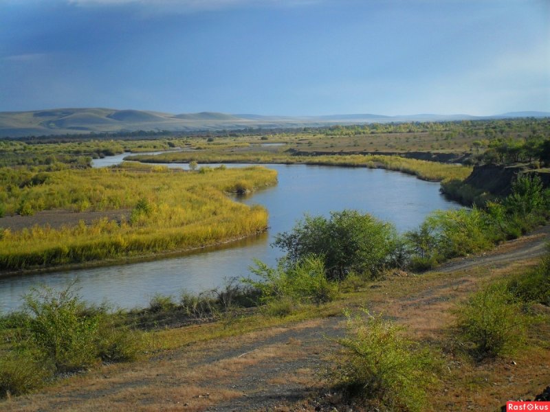 Река Шилка Забайкальского края