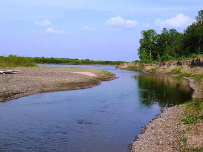 Река Аргунь Шилка устья