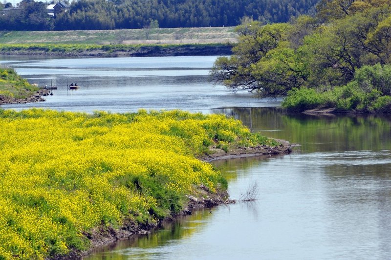 Река жёлтая Украина