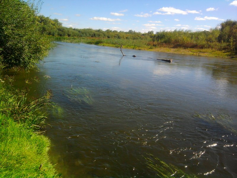 Река Тобол