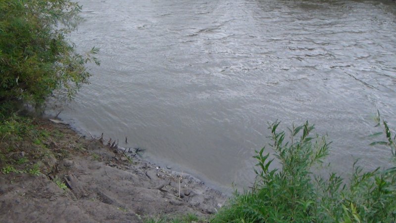 Река Тобол и Иртыш
