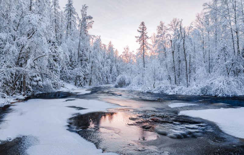 Линдуловская роща зимой река