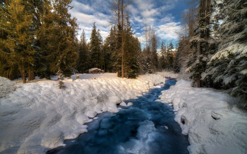 Лесная речка зимой