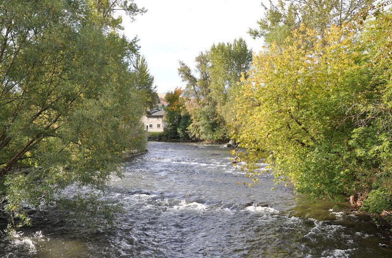 Река Корневка Калининградская область