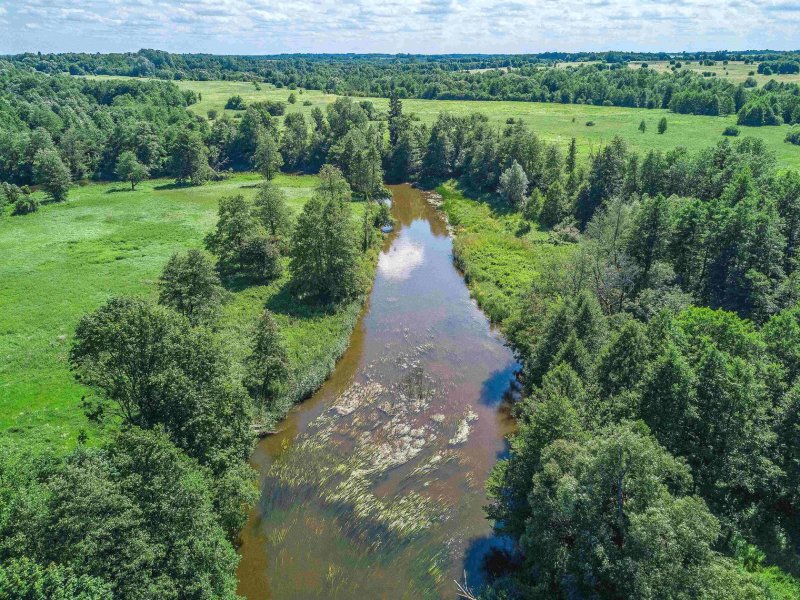 Река Шешупе Калининградская область