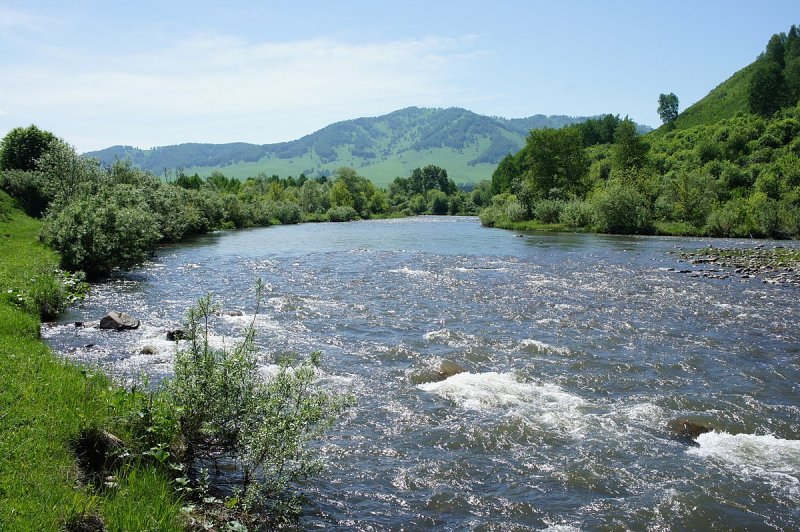 Река Ануй Алтайский край