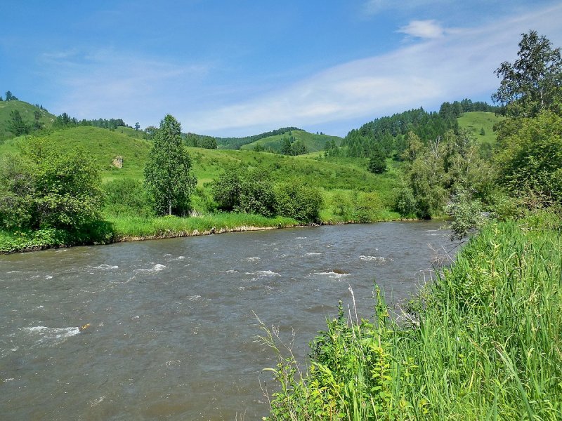 Река Ануй Солонешное