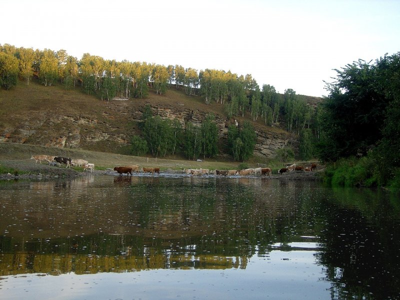 Павловское водохранилище три пескаря