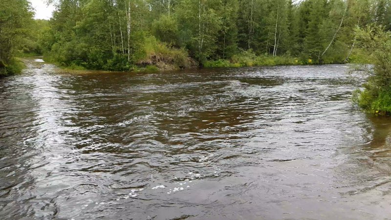 Река в Троицке Челябинской области