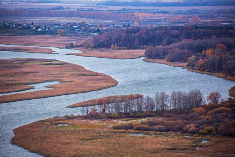 Река Изес Новосибирская область