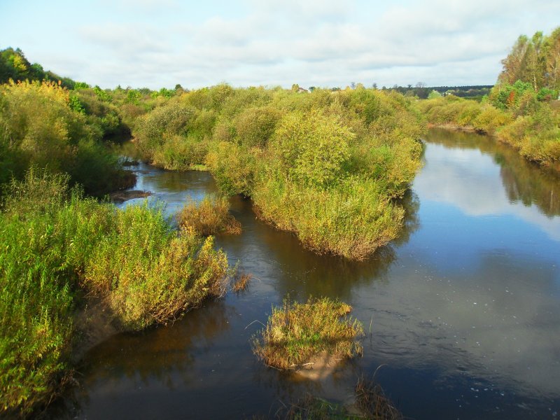 Река Ольховая Ростовская область