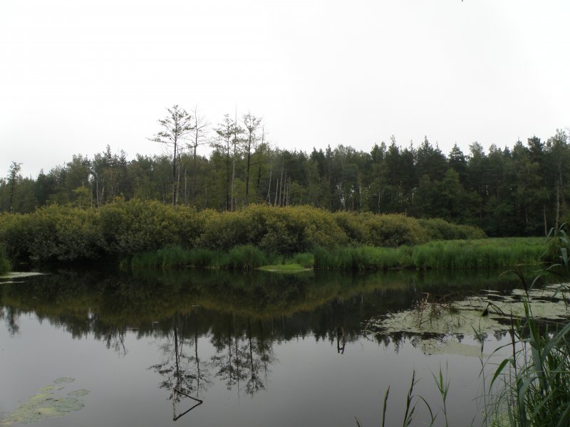 Мещёрский национальный парк Рязанской области
