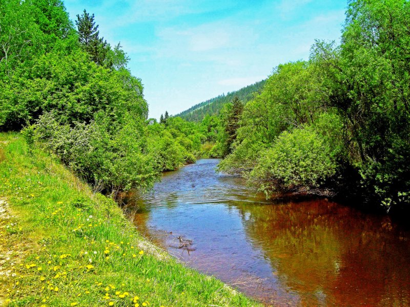Река белая п. Тульский