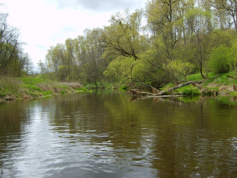 Плотина на реке Рожайка Домодедово