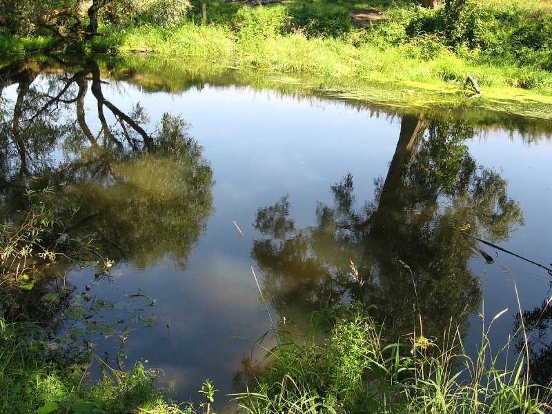 Река Рожайка Домодедово пля