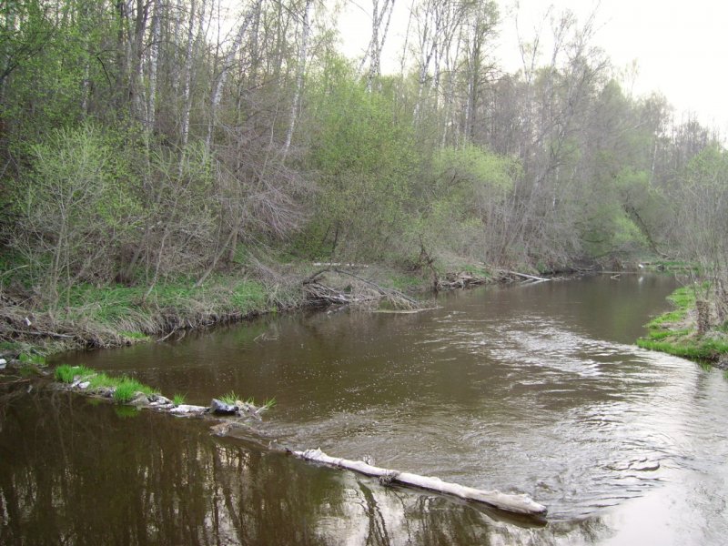 Река Рожайка Домодедово