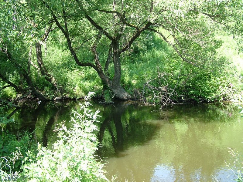 Река Рожайка Домодедово
