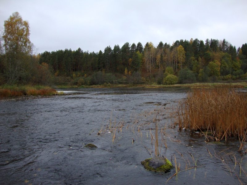 Река Керженец Нижегородская