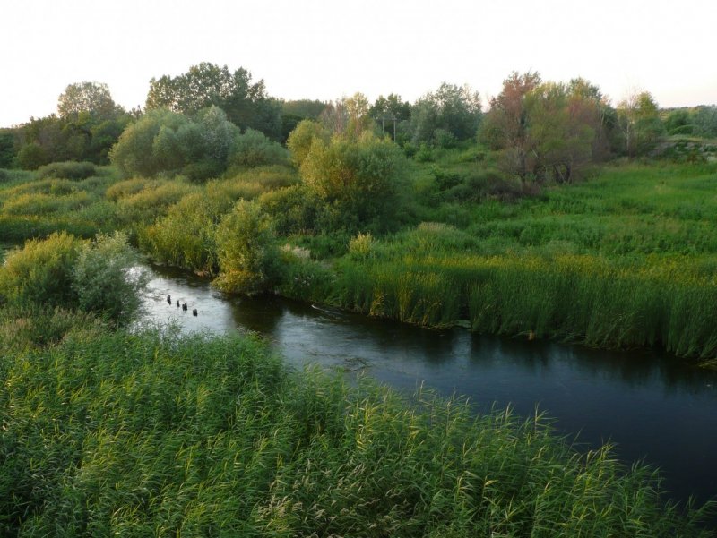 Река Битюг в Воронеже