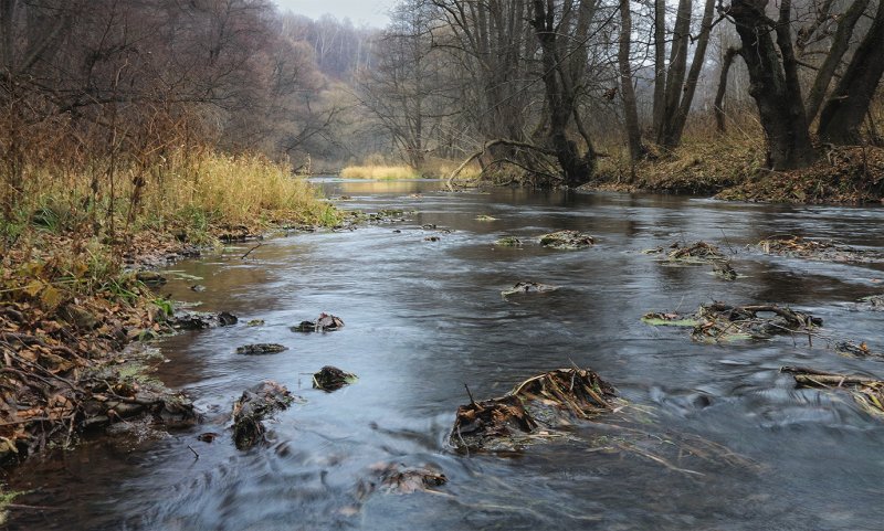 Река Вашана с притоками