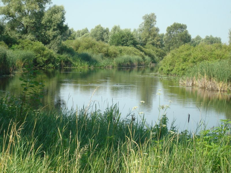 Река Сула Украина фото