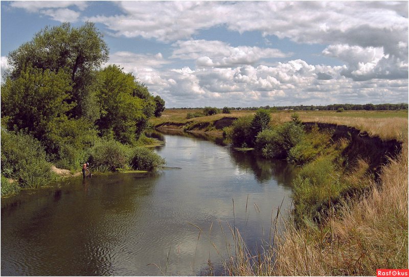 Осень река Сейм Курск