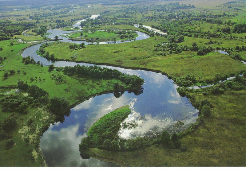 Водный объект Курской области река Сейм