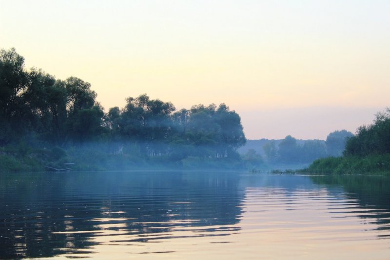 Река Сейм Курская область пейзаж