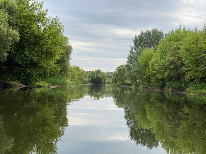 Река реку Сейм Курской области