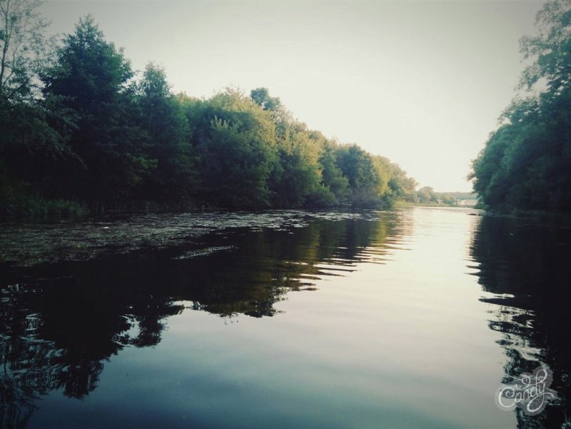 Река Сейм Курск