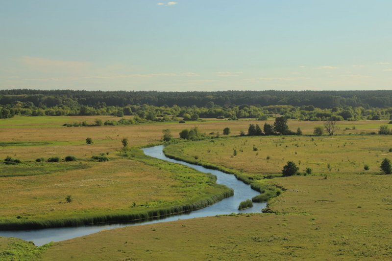 Река Сейм Льгов