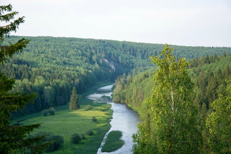 Река Березовая Пермский край