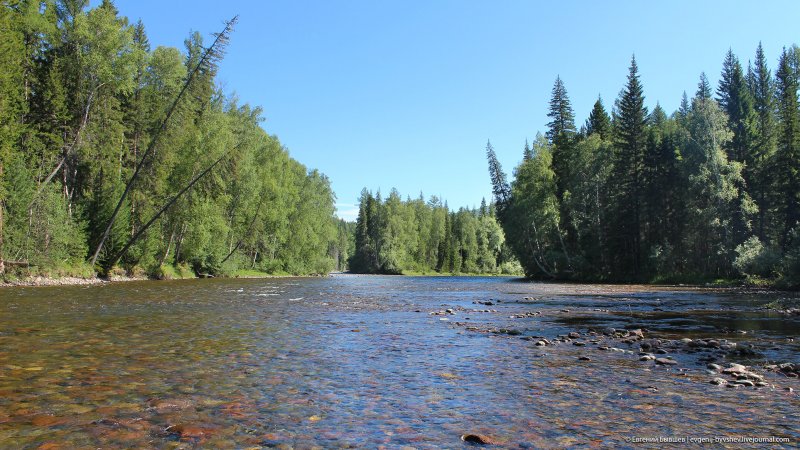 Река Уса в Республике Коми фото