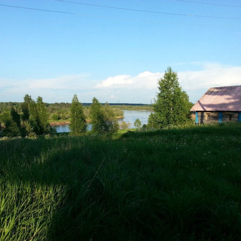 Архангельская область деревня Виледь