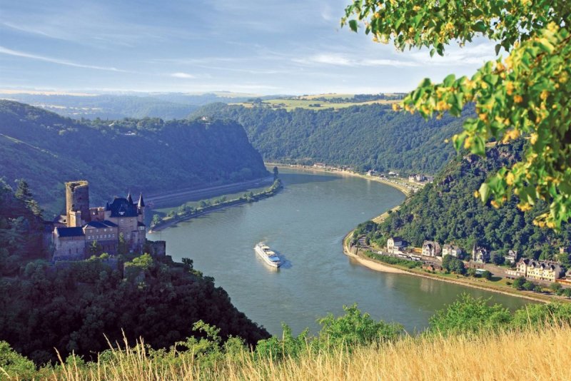 Река Рейн загрязнение