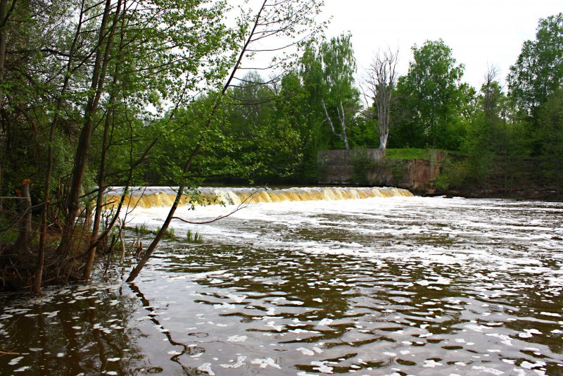 Река Выша Рязанская область