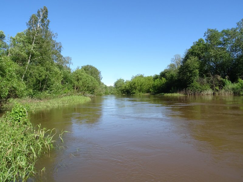 Река Шерна весной