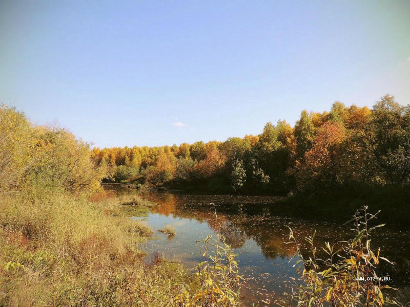 Река Ижма Архангельская