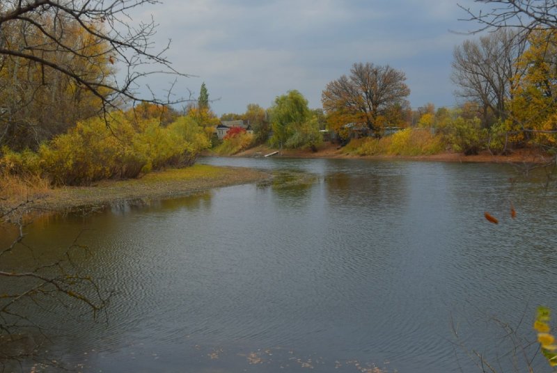 Река Гнилуша Крылатское