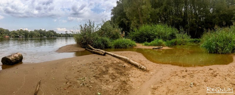 Река Гнилуша Домодедово