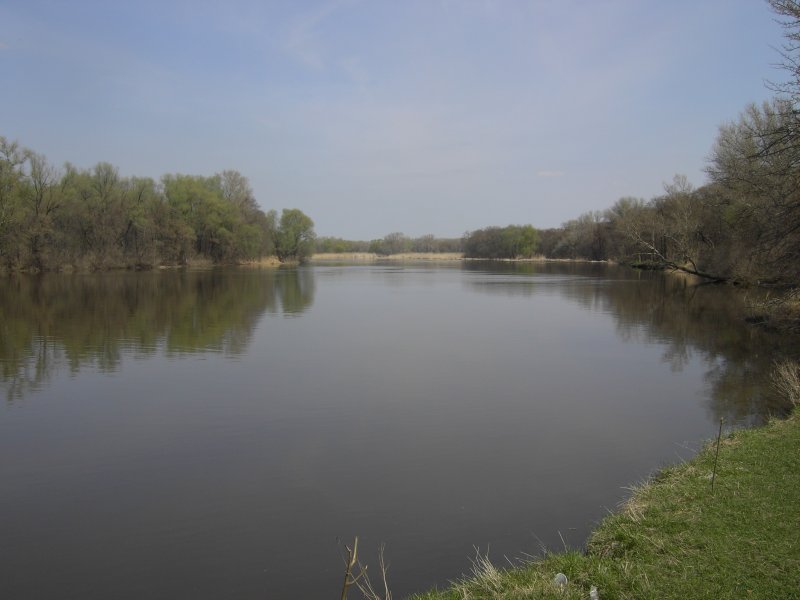 Река Ведуга Воронежской области Семилукского района