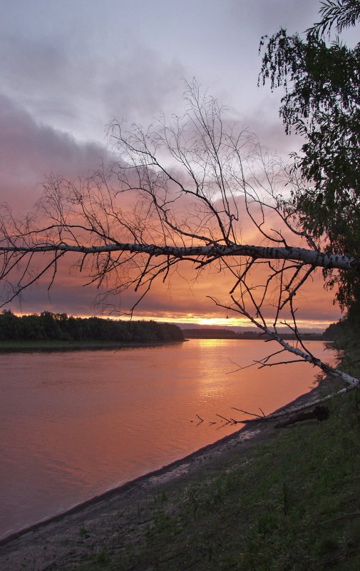 Река Тавда Свердловская область