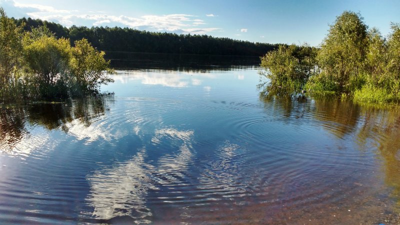 Бассейн реки Тавды в Свердловской области
