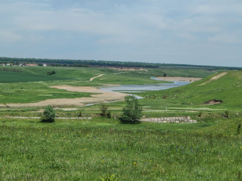 Река горькая балка Ставропольский край